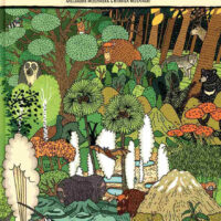 Από πού πάνε για το Γέλοουστοουν; Τρελό ταξίδι στα εθνικά πάρκα του κόσμου